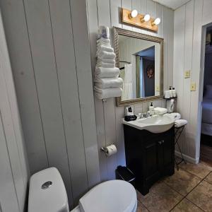a bathroom with a toilet and a sink and a mirror at CedarWood Inn in Hendersonville