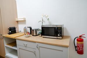 Η κουζίνα ή μικρή κουζίνα στο Napwell