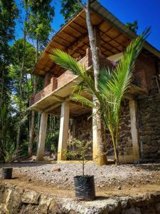a palm tree in front of a building at Hide and Seek in Tetebatu