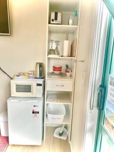 uma pequena cozinha com um micro-ondas e um frigorífico em Observation Guest Suite em Paraparaumu