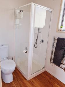 a bathroom with a shower and a toilet at Seaside Tahuna in Nelson +20 photos