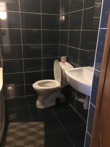 a bathroom with a toilet and a sink at Номер та Паркінг in Chernivtsi