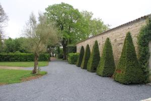 a row of trees next to a brick wall at La Grange d'Aunis in Aigrefeuille-dʼAunis