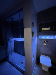 y baño con ducha de cristal y aseo. en Loft Spa Greece - Enjoy our Jacuzzi, en Kalamata