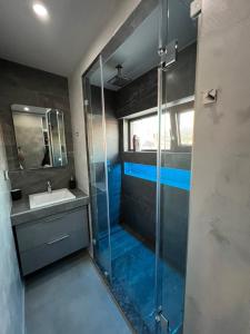 y baño con ducha acristalada y lavamanos. en Loft Spa Greece - Enjoy our Jacuzzi, en Kalamata