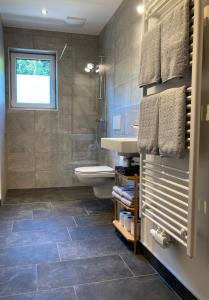 un bagno con lavandino e WC di Appartement Hochfilzer a Schladming