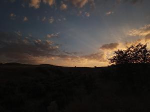 einen Sonnenuntergang auf einem Feld mit einem Baum auf einem Hügel in der Unterkunft KIR EVI/BAG EVI 