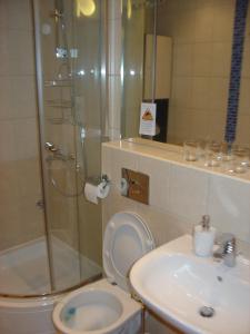 a bathroom with a shower and a toilet and a sink at Apartments Kuća Grško in Selce +23 photos