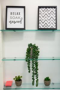 uma prateleira com duas fotos e uma planta sobre ela em Cosy Central Studio Apartment Zone 2 (4) em Londres
