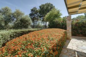 A garden outside Ouzo Stone Studio