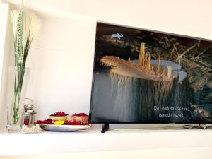 a tv sitting on a shelf with a picture of a fish at Apartman Lejla Vlašić in Vlasic