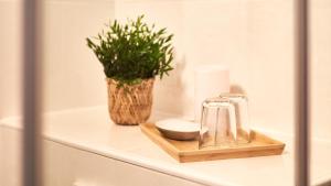 a plant sitting on top of a bathroom counter at Jeff's - Rooms with a mountain view in Bad Goisern