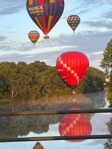 a group of hot air balloons flying over a river at LES LAVANDES in Chisseaux