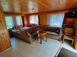 a living room with a couch and a table at Holiday House Vranov Dam in Oslnovice