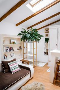 a living room with a couch and a plant at Anna's Guesthouse in Cluj-Napoca