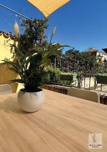 a plant in a white vase sitting on a table at Made in Langhe Apartment in La Morra