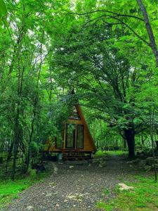 Cottage Villa Ioseliani في Kumistavi: كابينة صغيرة في وسط غابة