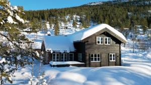 una casa con nieve en el techo en la nieve en Storekleiv Hyttefelt Tuddal, en Tuddal