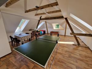 a ping pong table in the middle of a room at Apartmány Comfort in Střílky