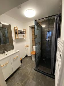 ein Bad mit einer Dusche, einem Waschbecken und einem WC in der Unterkunft Gîte la Maison Rouge Béthune in Béthune
