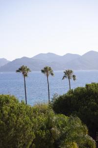 a group of palm trees in front of the ocean at Hôtel & Spa Belle Plage in Cannes