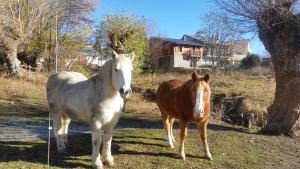 Fotografia z galérie ubytovania Chalet Edliane v destinácii Font Romeu Odeillo Via
