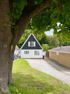 a white house with a black roof and a tree at Number 8 in Midhurst
