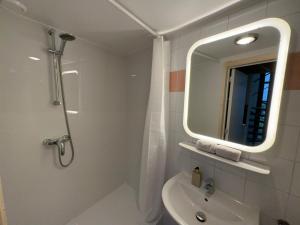 La salle de bains est pourvue d'une douche, d'un lavabo et d'un miroir. dans l'établissement Duplex in historical centre with private courtyard, à Anvers