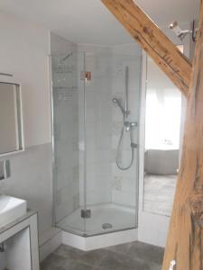 a shower with a glass door in a bathroom at Bad Aibling City Apartment - Pano in Bad Aibling +6 photos