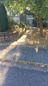 einen Gehweg in einem Garten mit einem Baum und einem Haus in der Unterkunft Ferienwohnung Forstwiese in Großrosseln