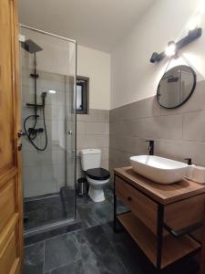 bagno con lavandino, doccia e servizi igienici di Infinity Cabin a Râșca
