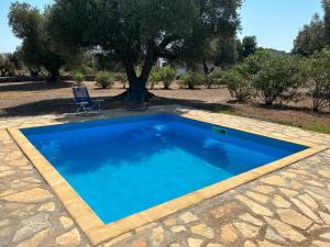 a blue swimming pool with a chair and a tree at Sol Invictus Est in Serranova