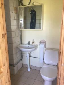 een badkamer met een toilet en een wastafel bij Trevligt fritidshus 20 km utanför Falun Dalarna in Falun