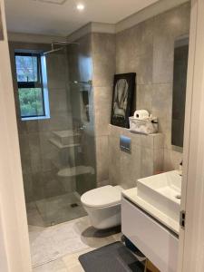a bathroom with a shower and a toilet and a sink at Deer Park Apartment CPT - With Sweeping Views in Cape Town