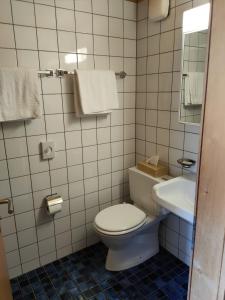 a bathroom with a toilet and a sink at Hotel Furka in Oberwald
