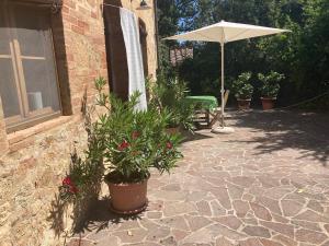 un patio con sombrilla y macetas en LA VIGNA Agriturismo, en Siena