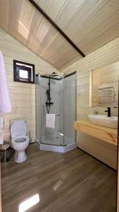 a bathroom with a toilet and a shower and a sink at Гостинично-банный комплекс PARADISE in Shchūchīnsk