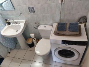 een kleine badkamer met een toilet en een wastafel bij De Vert et d'Or - proche gare - parking - jardin in Saint-Brieuc