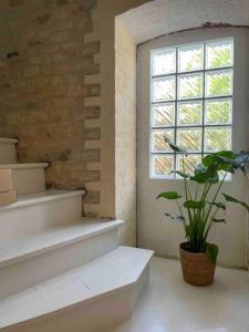 une chambre avec une fenêtre et une plante en pot dans l'établissement Maison typique en pierre de Caen - 4 voyageurs, à Louvigny