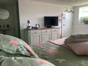 een slaapkamer met een tv op een dressoir bij Onze boerderij in Hoogersmilde