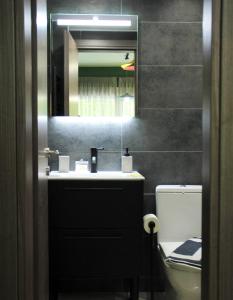 uma casa de banho com um lavatório, um espelho e um WC. em Sky Nomads em Tessalônica