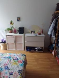 a bedroom with a dressing table and a mirror at Chambre pour deux personnes dans un logement partagé Two persons room in a shared apartment in Alfortville
