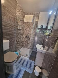 a bathroom with a toilet and a shower and a sink at Studio apartment LENI in Banjole