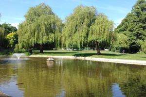 a pond in a park with a bird house in the water at Epsom Modern Luxury 1 Bed Apartment with Extra Sofa Bed - East Street in Epsom