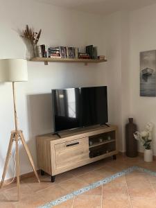 TV a/nebo společenská místnost v ubytování Lila