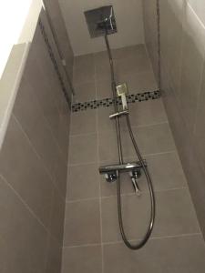 een douche met een slang in de badkamer bij La Sala in Amélie-les-Bains-Palalda