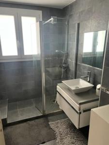 La salle de bains est pourvue d'une douche en verre et d'un lavabo. dans l'établissement Superbe appartement design FR, à Feyzin