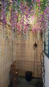 a bunch of flowers hanging from a wall at Comfy Home Near to Penang Hill in Ayer Itam