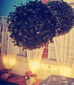 two potted plants sitting on a table with lights at Sfumature di Puglia in Turi