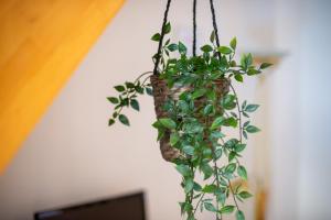 Galeriebild der Unterkunft L'amigeste in Pouzols-Minervois + 32 Fotos